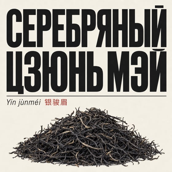 Yín Jùn Méi